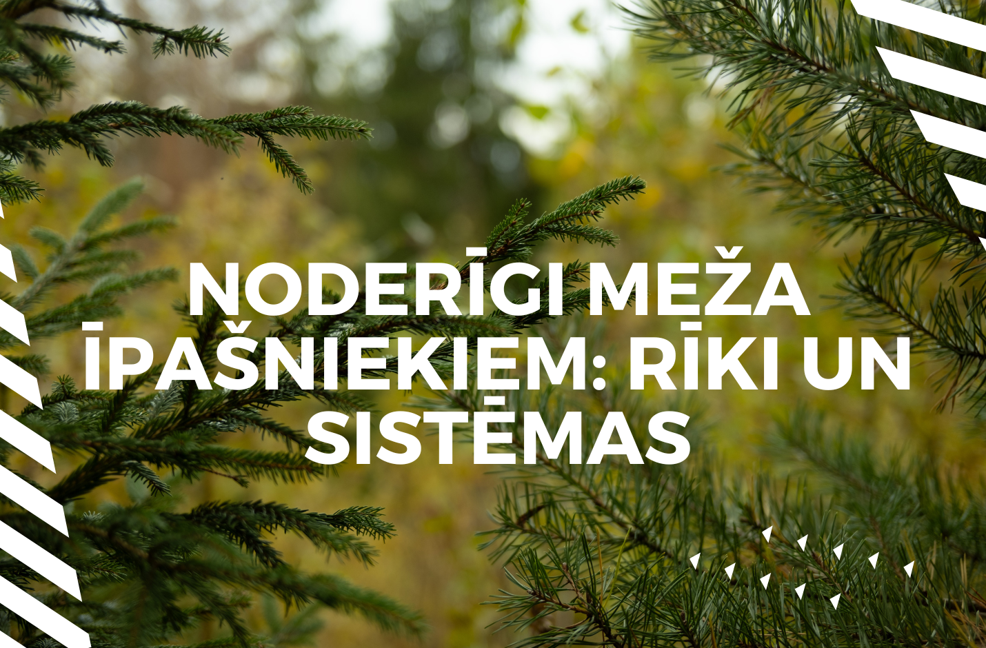 Rīki un sistēmas