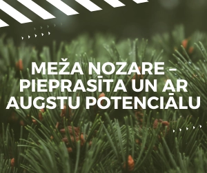 meža nozare