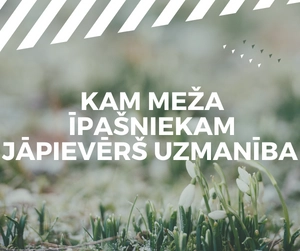 pārdot meža īpašumu