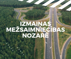 mežsaimniecība