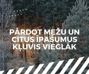 Pārdot mežu kļuvis vieglāk