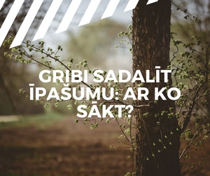 Sadalīt īpašumu | Trovent