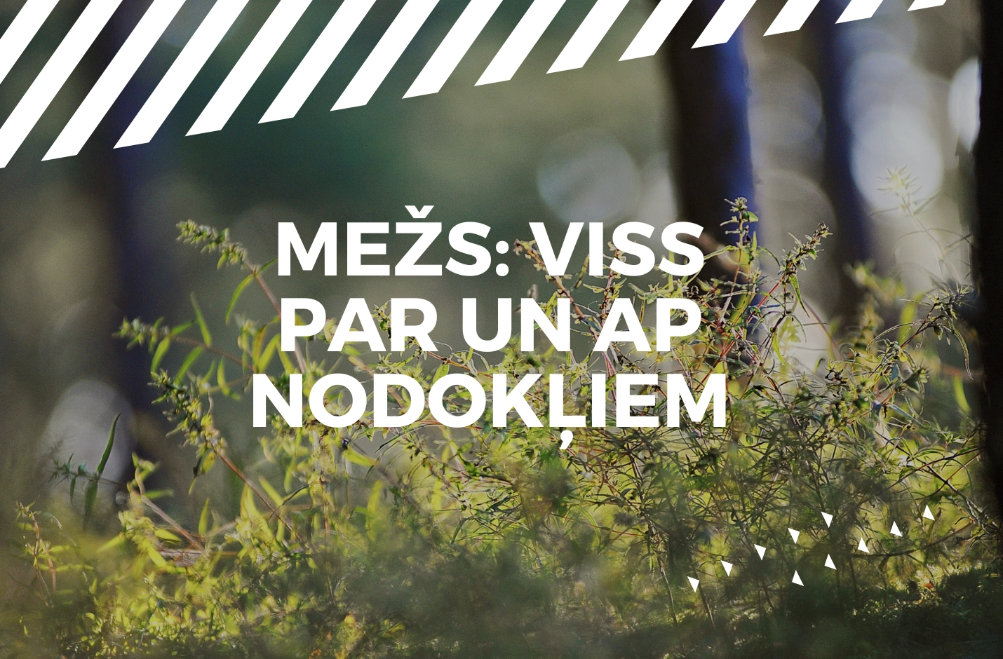 Viss par un ap nodokļiem