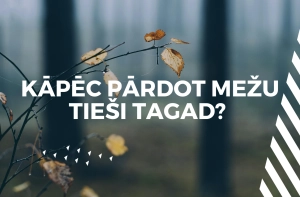pārdot mežu